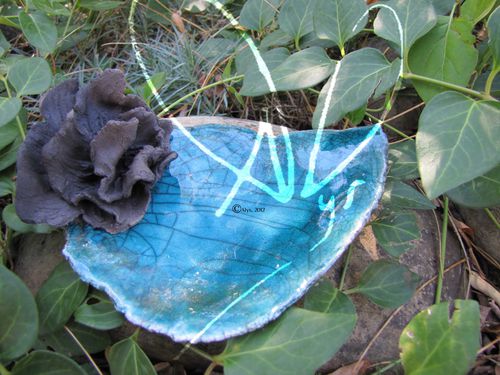 coupe turquoise rose noire