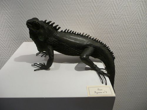 P1090547