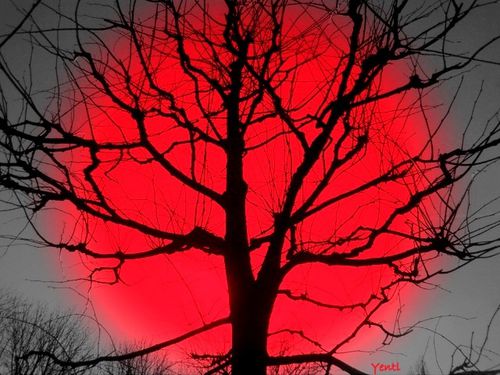Rouge