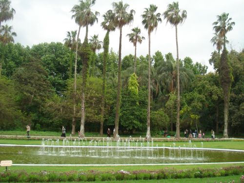 DSC03266