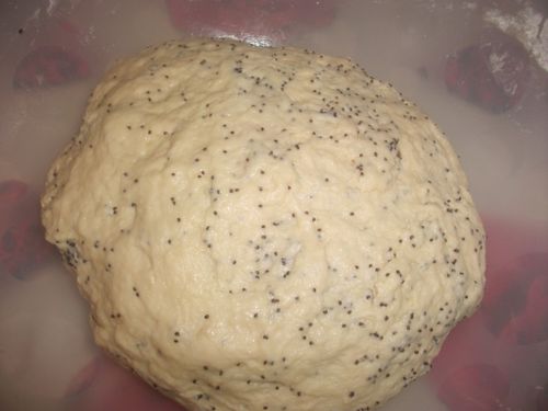 DSCF6616.jpg