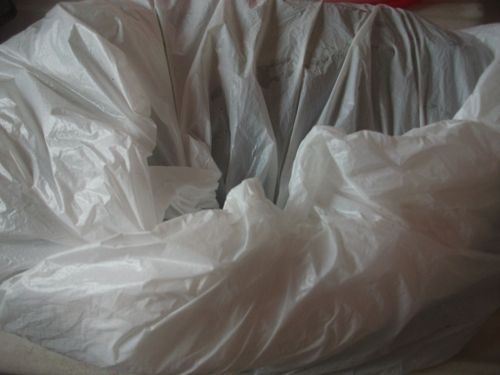 DSCF6537.jpg