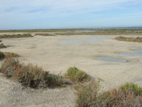 Salins-3-2012-septembre.JPG