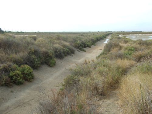 Salins-11-septembre-2012-.JPG