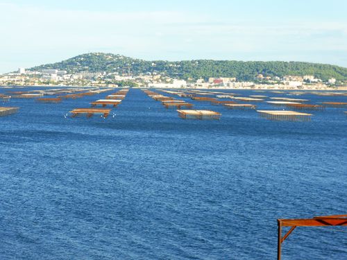sete-vu-de-bouz--parcs-a-.JPG