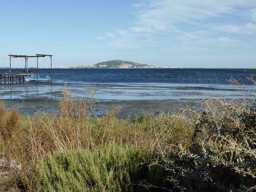 sete-vu-de-meze-ept-2013.JPG