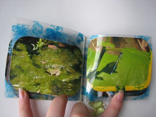 Mini Pic nic Transparent 005