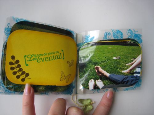 Mini Pic nic Transparent 007