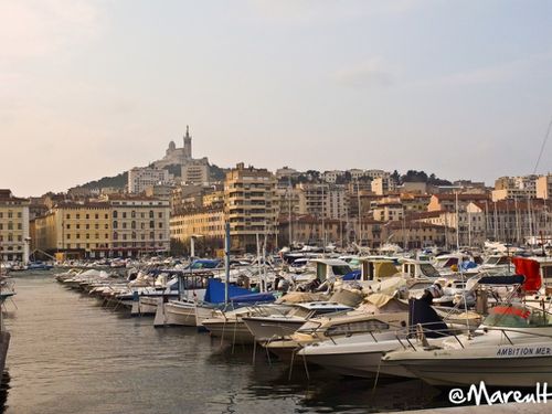 Marseille fev 2013 (10)