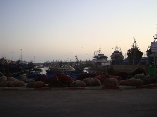 Essaouira (38)