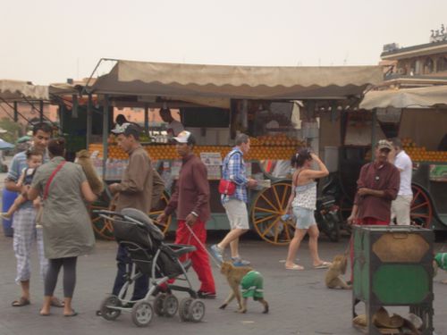 Marrakech-Place Jemma-El-Fna(244)