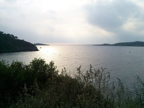 Photo0223