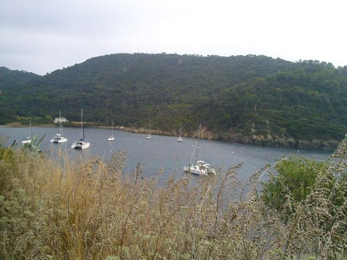 Photo0225