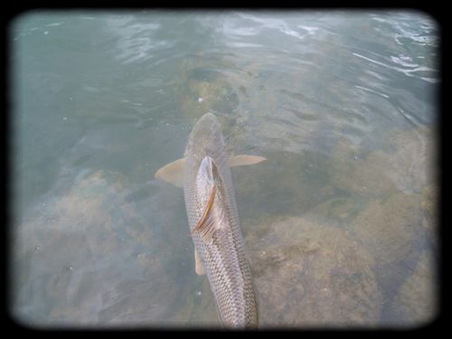 DSCN0496