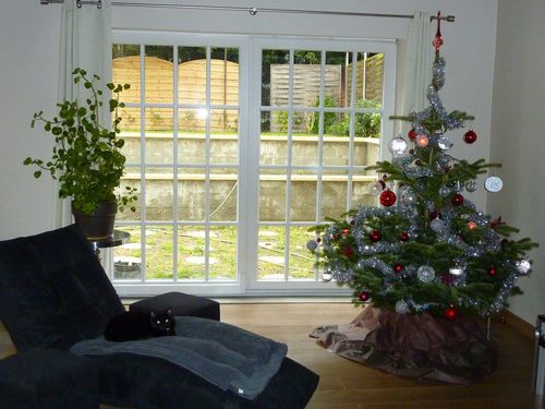 2011-064.jpg
