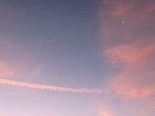 110924 C 011 (8)