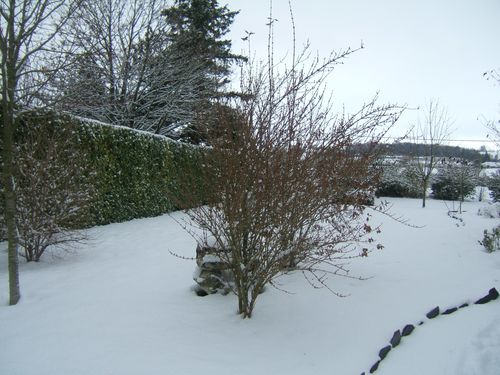 DSCF3230