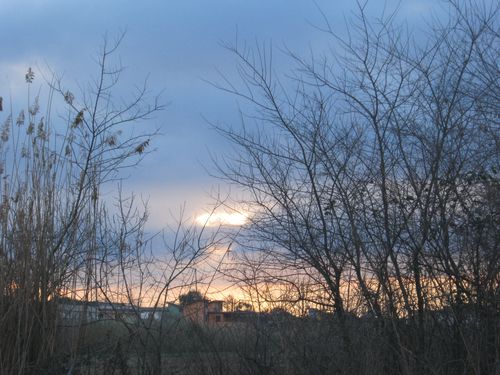 tramonti-by-Judah-Kanos 0209
