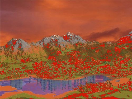Derniers-feux.jpg