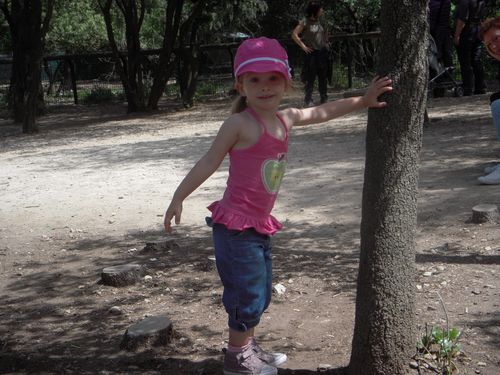 DSCN6592.JPG
