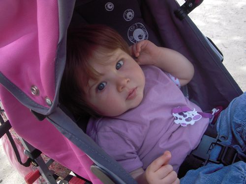 DSCN6593.JPG