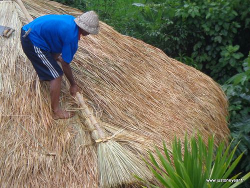 09-Bali 3 Fabrication d'un toit de chaume de riz (14)