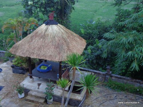 16-Bali 3 Fabrication d'un toit de chaume de riz (15)