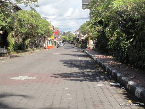 Nyepi,rues vides et leurs gardiens,Ubud,Bali,Mars 2013 (58)