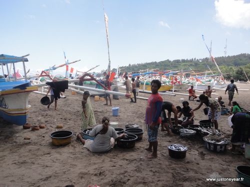 Lombok, Retour des pêcheurs à Sengigi,Indonésie-copie-3