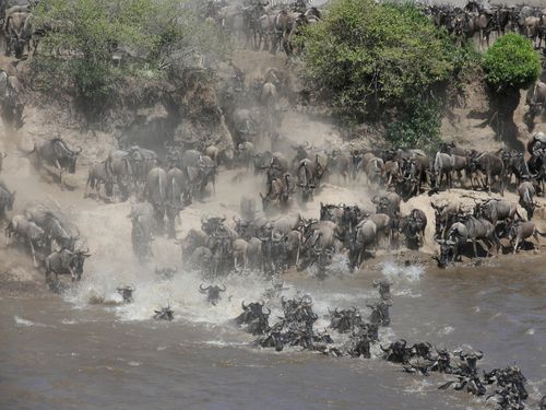Kenya 146