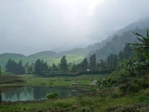01-Bogor-Puncak pass-plantation de the