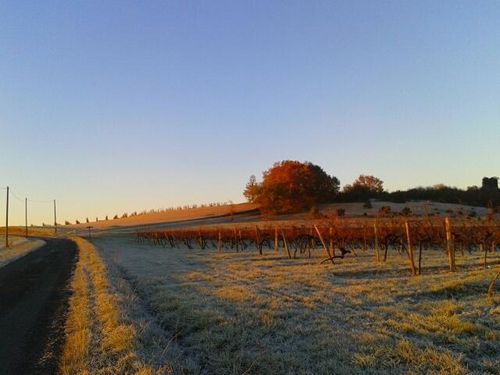 2013-12-09_08.42.15.jpg