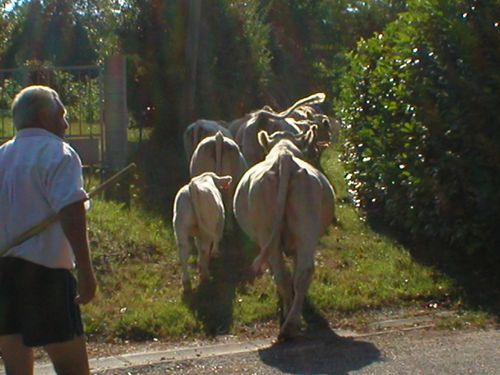 vacances-082.jpg