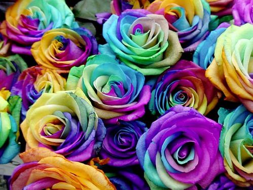 RoseBouquet