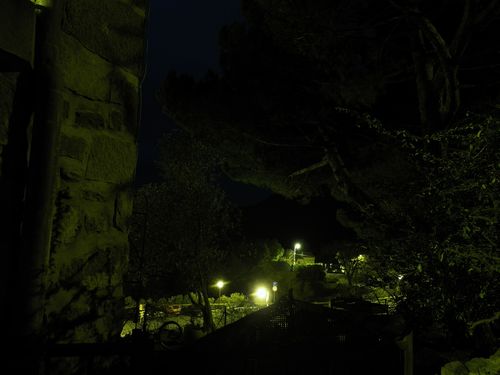 IMGP0267