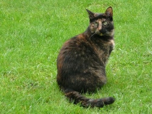 Photo-8.JPG