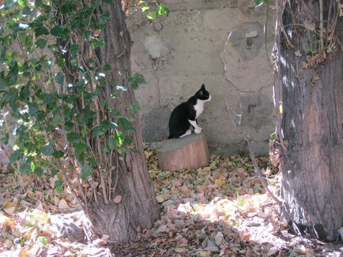 octobre-2011-2472.JPG