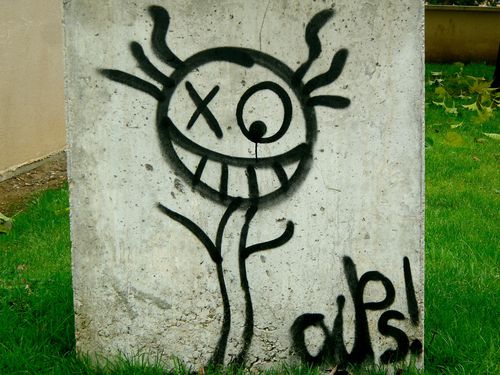 SAM 2802-copie-1