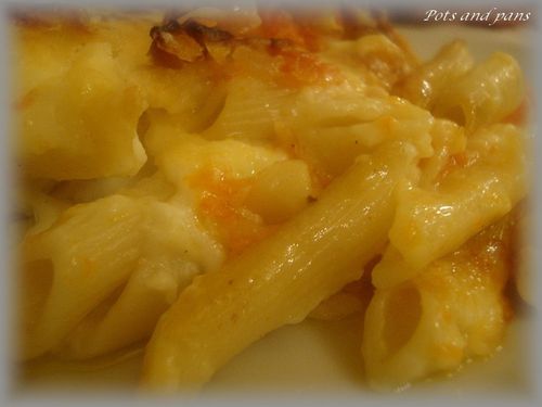 gratin penne courge12