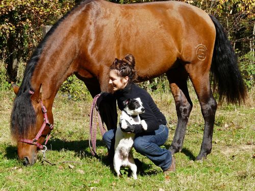 cheval barbie et son poulain