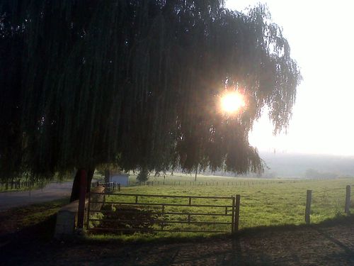 IMG00395-20111016-1748