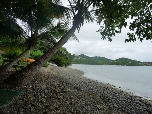 Martinique-Anaïs-2 311