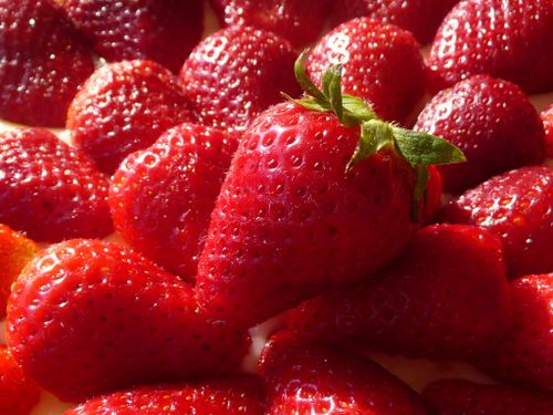 tarte aux fraises de Millou et un délices 3
