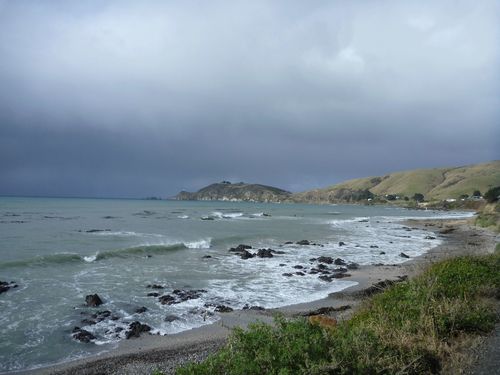 P1030033