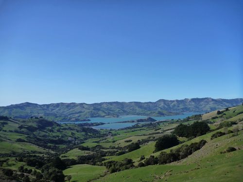 P1030126