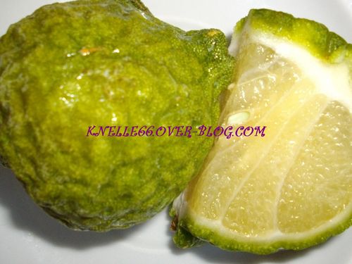 COMBAVA ( Citrus Hystrix )