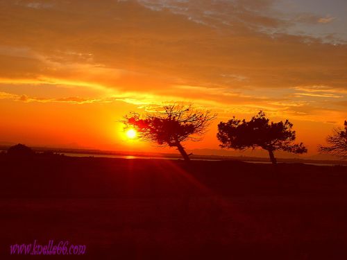 Coucher de soleil étang de Canet(66)