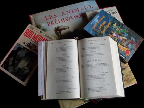 livre 1