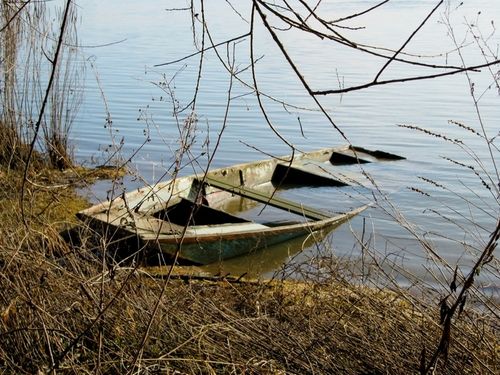 barque