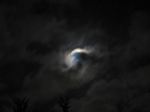 Lune291209